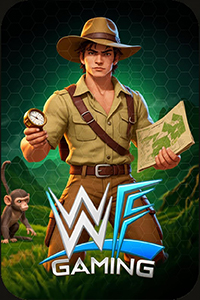 WF Gaming
